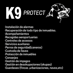 Galería de imágenes