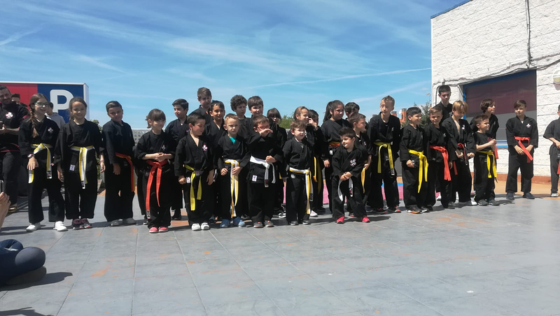 K9 Protect Fast Solution 4