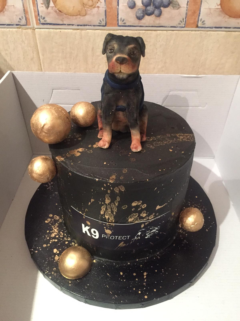 K9 Protect Fast Solution 13