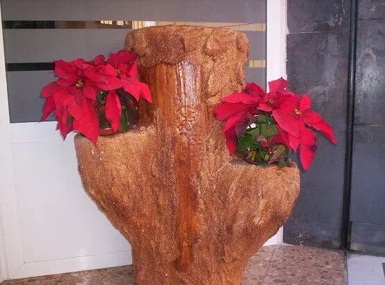 Construcciones Tony 50