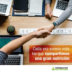 Galería de imágenes