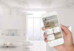 Galería de imágenes