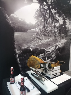 Galería de imágenes