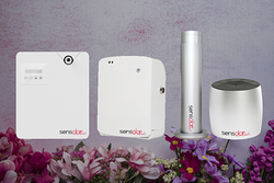 Galería de imágenes