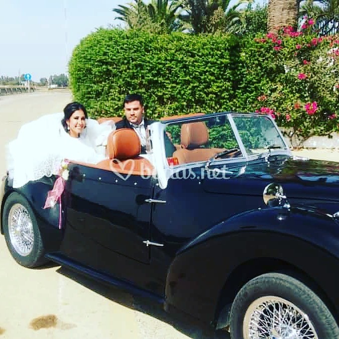 Carruajes y Coches Cl&aacute;sicos Juan Jos&eacute; Sol&iacute;s 17