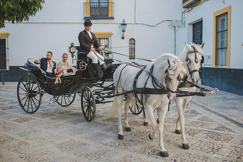 Carruajes y Coches Cl&aacute;sicos Juan Jos&eacute; Sol&iacute;s 2