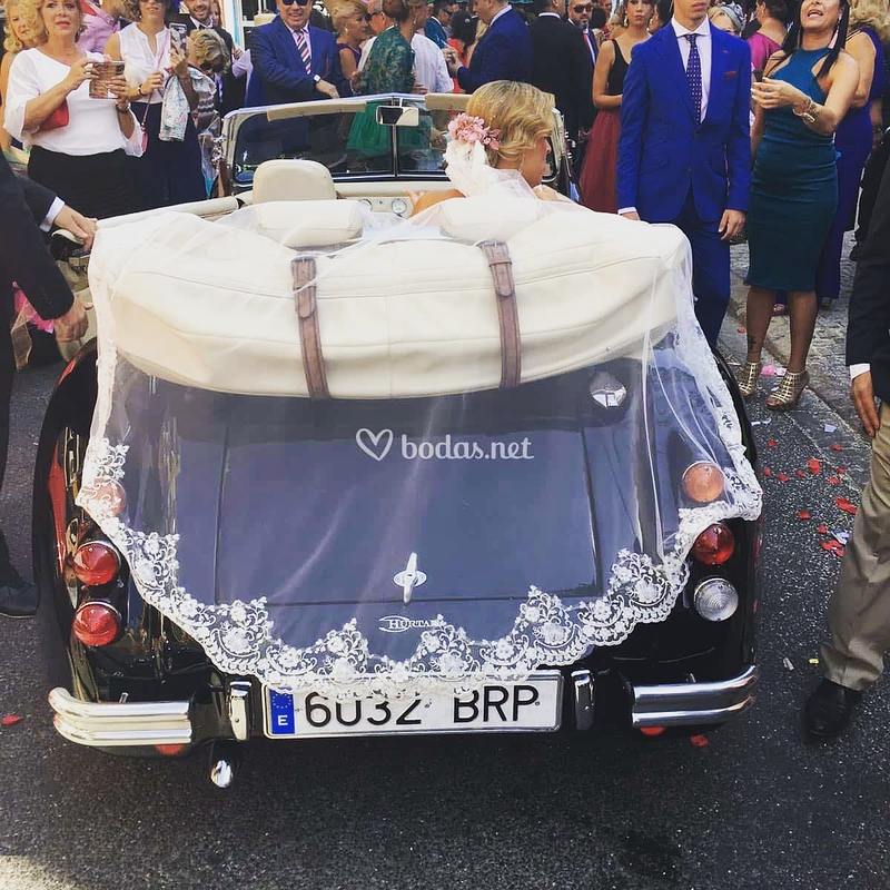 Carruajes y Coches Cl&aacute;sicos Juan Jos&eacute; Sol&iacute;s 15