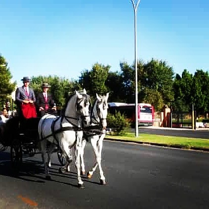 Carruajes y Coches Cl&aacute;sicos Juan Jos&eacute; Sol&iacute;s 6