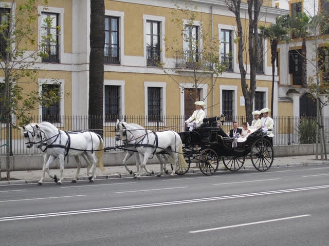 Carruajes y Coches Cl&aacute;sicos Juan Jos&eacute; Sol&iacute;s 5