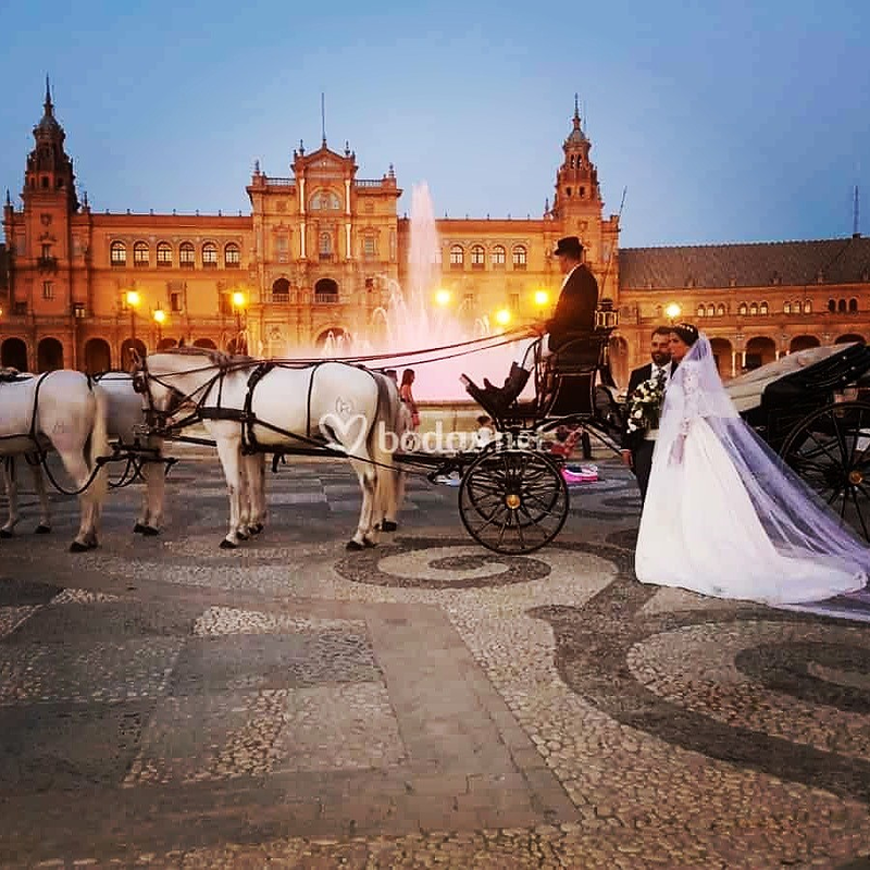 Carruajes y Coches Cl&aacute;sicos Juan Jos&eacute; Sol&iacute;s 7