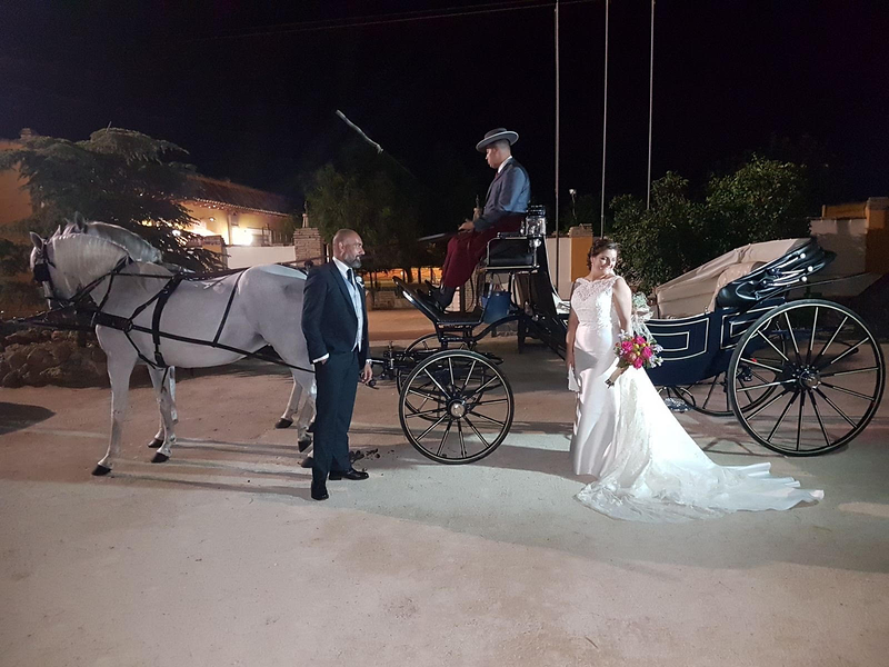 Carruajes y Coches Cl&aacute;sicos Juan Jos&eacute; Sol&iacute;s 3