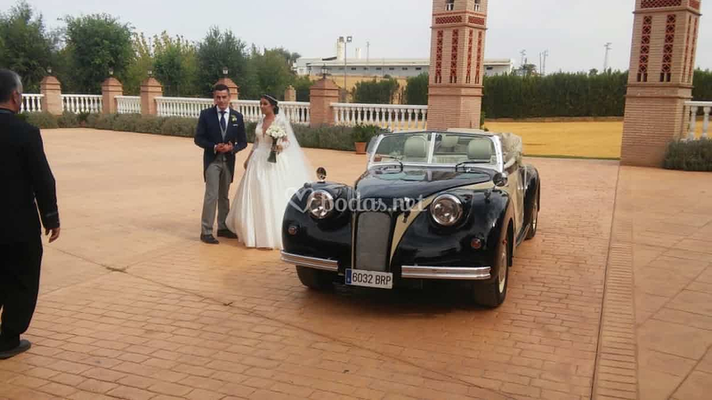 Carruajes y Coches Cl&aacute;sicos Juan Jos&eacute; Sol&iacute;s 9