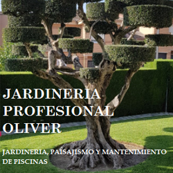 Jardinería Profesional