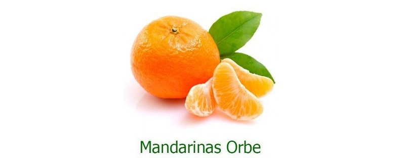 Naranjas Orbe Faura