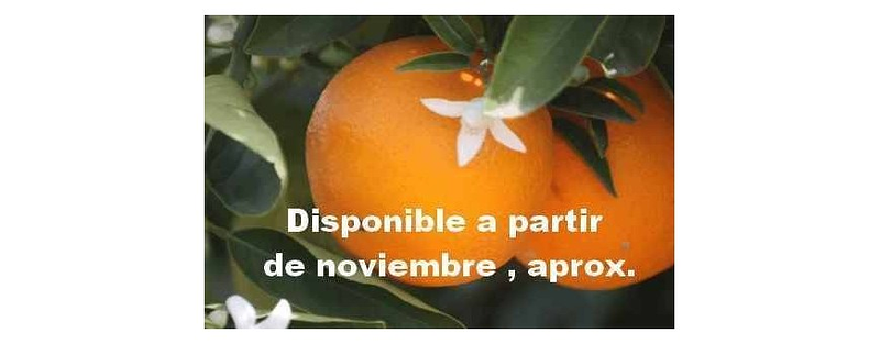 Naranjas Orbe VENTA POR INTERNET: TIENDAS