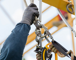 Galería de imágenes