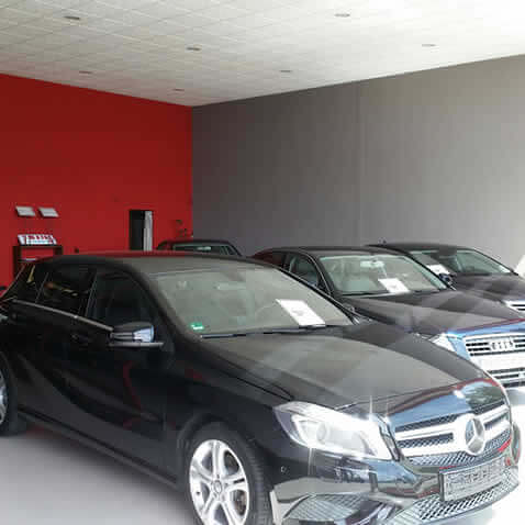 Mart&iacute;nez Multimarca 3