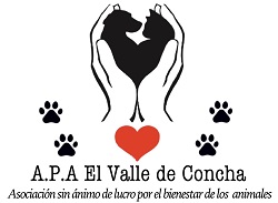 EL VALLE DE CONCHA