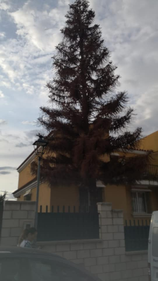 Orplas MULTISERVICIOS: EMPRESAS