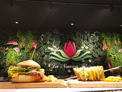 Galería de imágenes