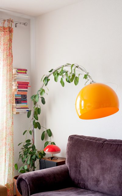 Galería de imágenes