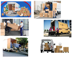 Galería de imágenes