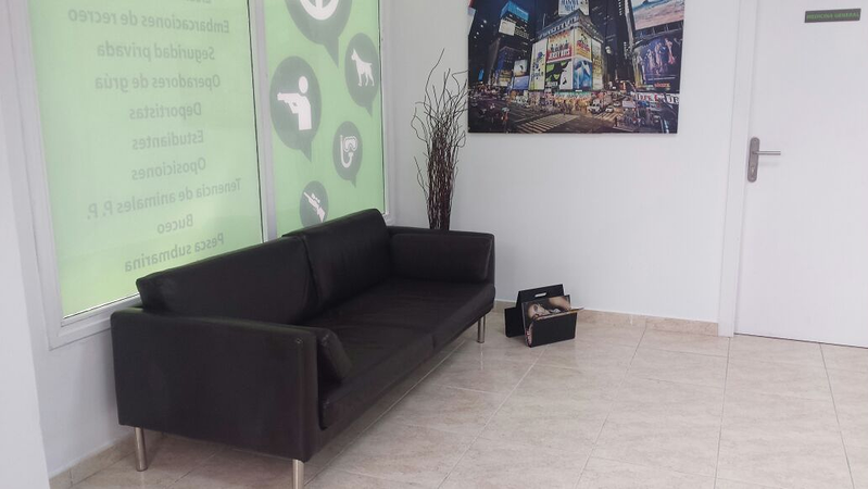 Centro de Reconocimientos M&eacute;dicos Santa Cruz-Renovar Carnet de Conducir Santa Cruz de Tenerife