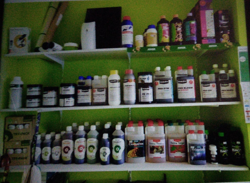 Manymota Coria del Río