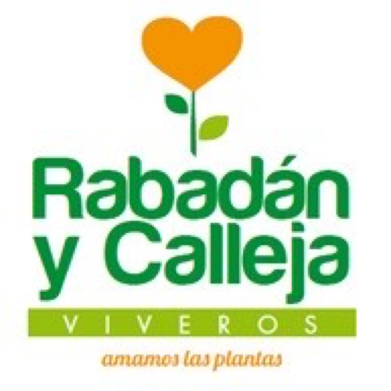 Viveros Rabad&aacute;n y Calleja 20