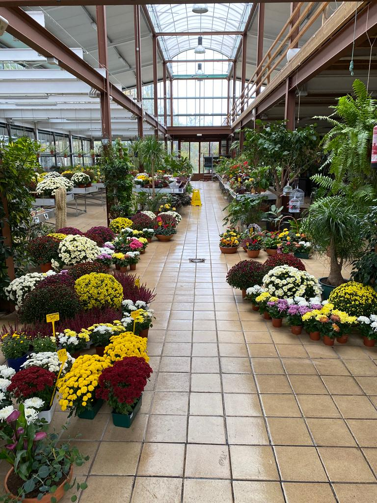 Viveros Rabad&aacute;n y Calleja 2