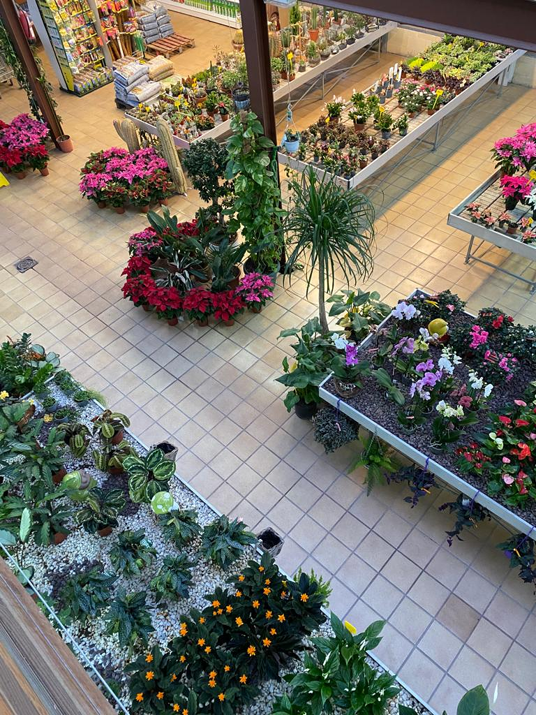 Viveros Rabad&aacute;n y Calleja 13