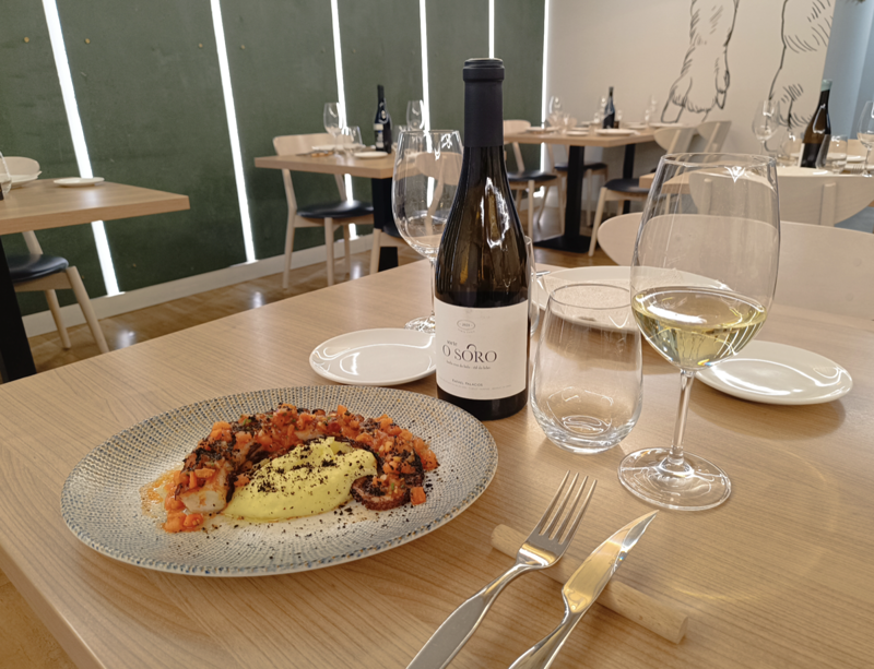 Mes&oacute;n A Laxa Raxer&iacute;a 2