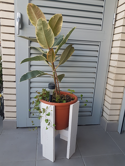 Galería de imágenes