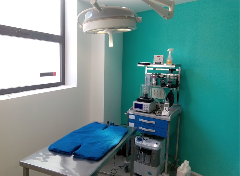 Huellas Veterinaria Salamanca 7