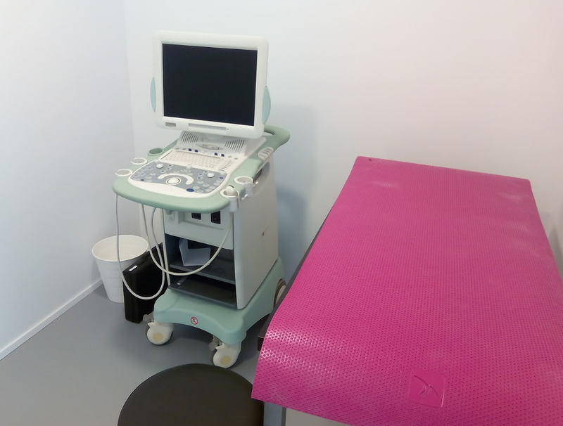 Huellas Veterinaria Salamanca Salamanca