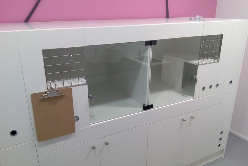 Huellas Veterinaria Salamanca 3