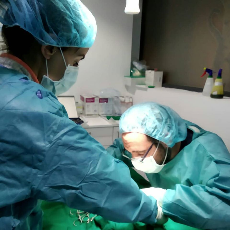 Huellas Veterinaria Salamanca 5