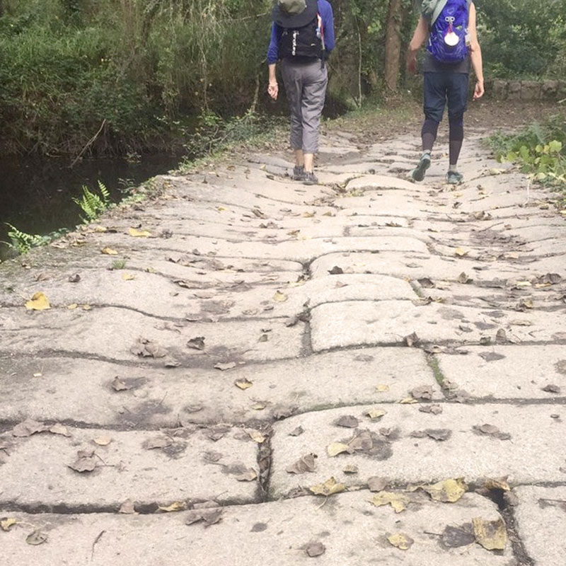 Reina D&acute;hoore 7