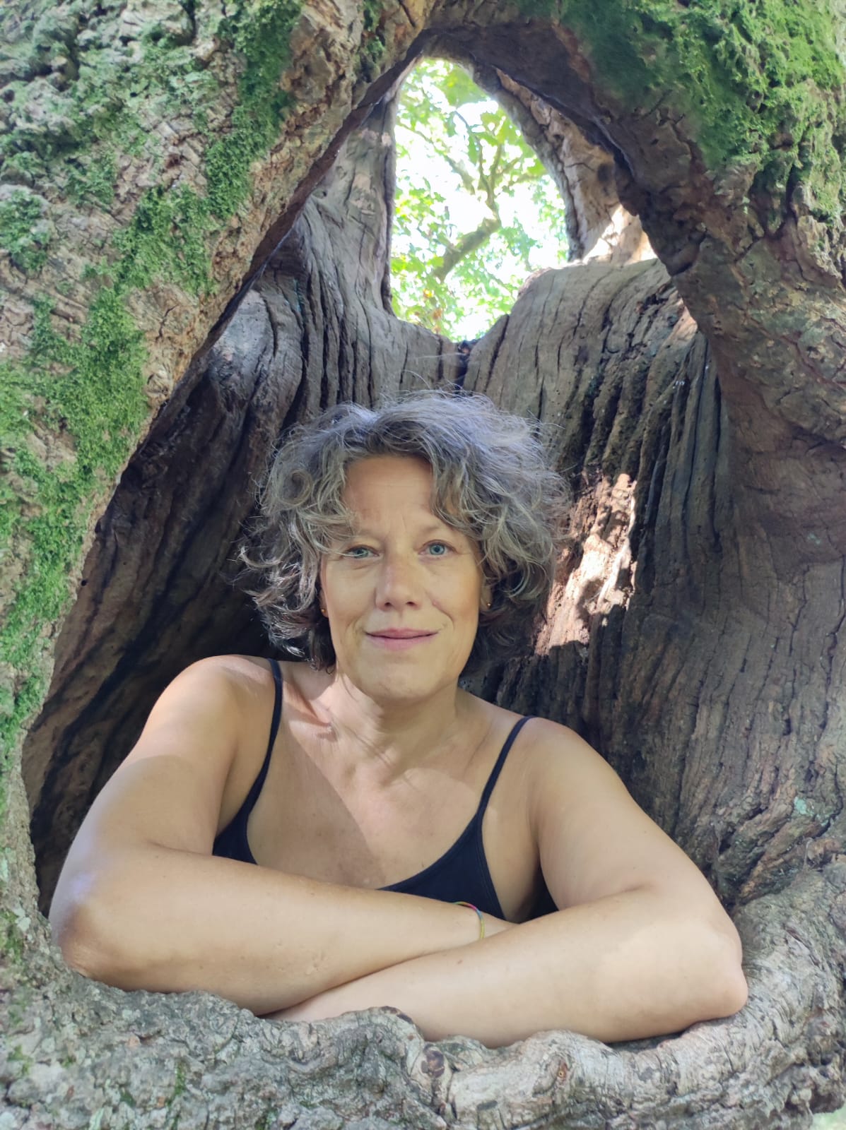 Galería de imágenes