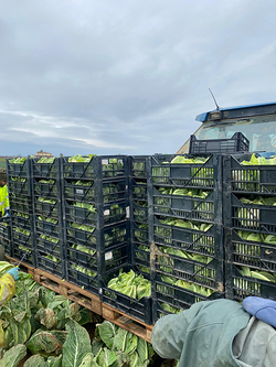 Galería de imágenes