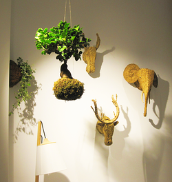 Galería de imágenes