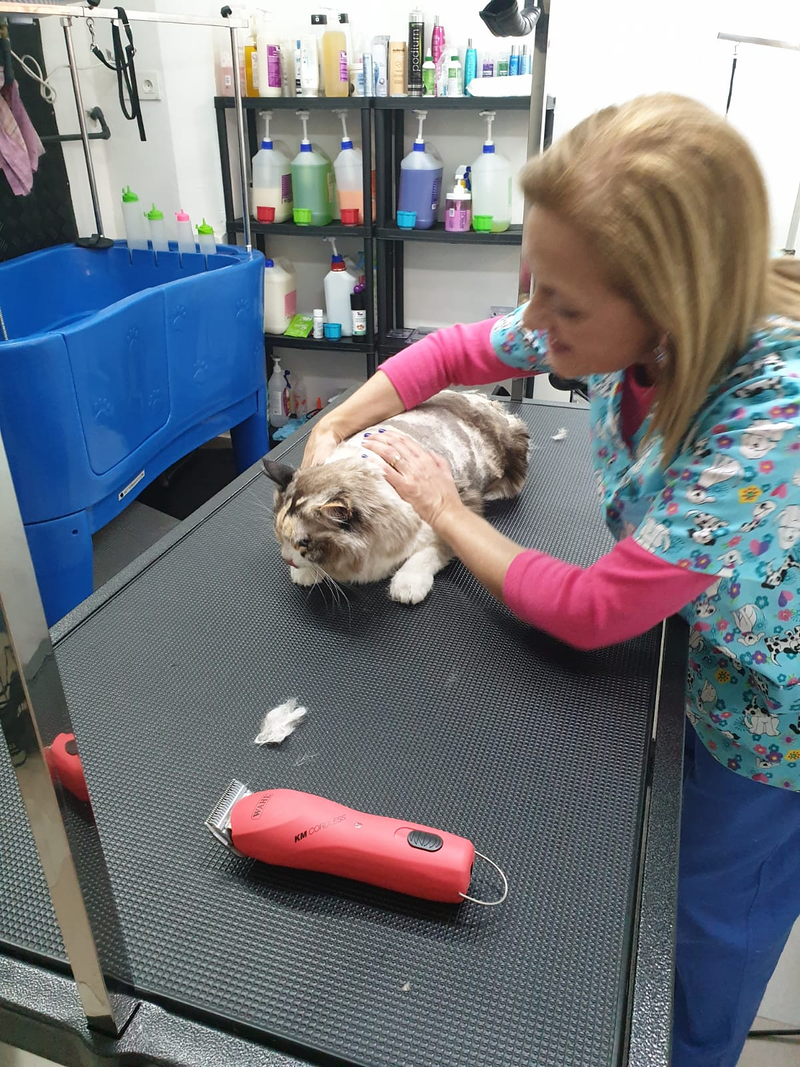 Peluquer&iacute;a y Est&eacute;tica Canina COQUETOS 8