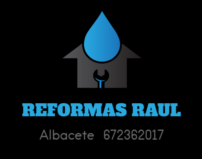 Reformas Raúl