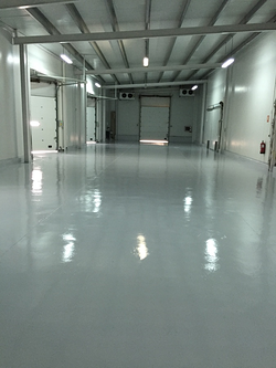 Galería de imágenes