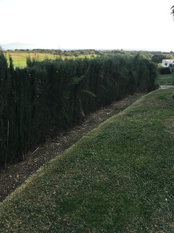 Galería de imágenes