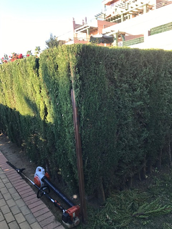 Galería de imágenes