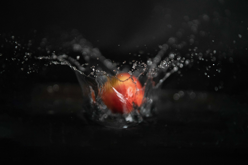 PhotographyVgam FOTOGRAFIA: ESTUDIOS