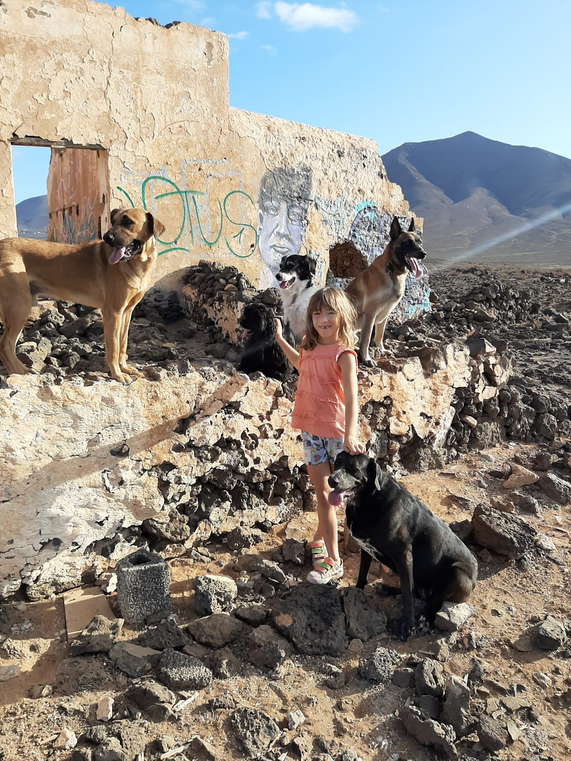 Pet&acute;s Paradise ANIMALES DE COMPAÑIA ALIMENTOS: ESTABLECIMIENTOS
