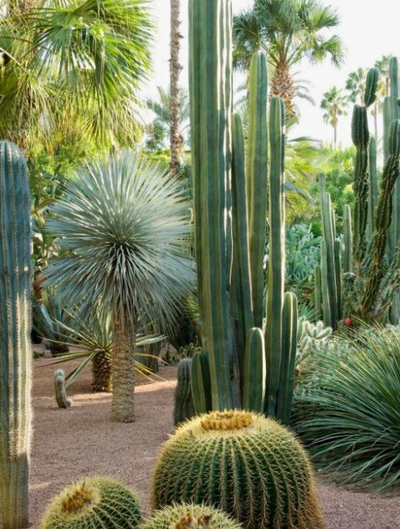 Neogarden Sur Fuengirola