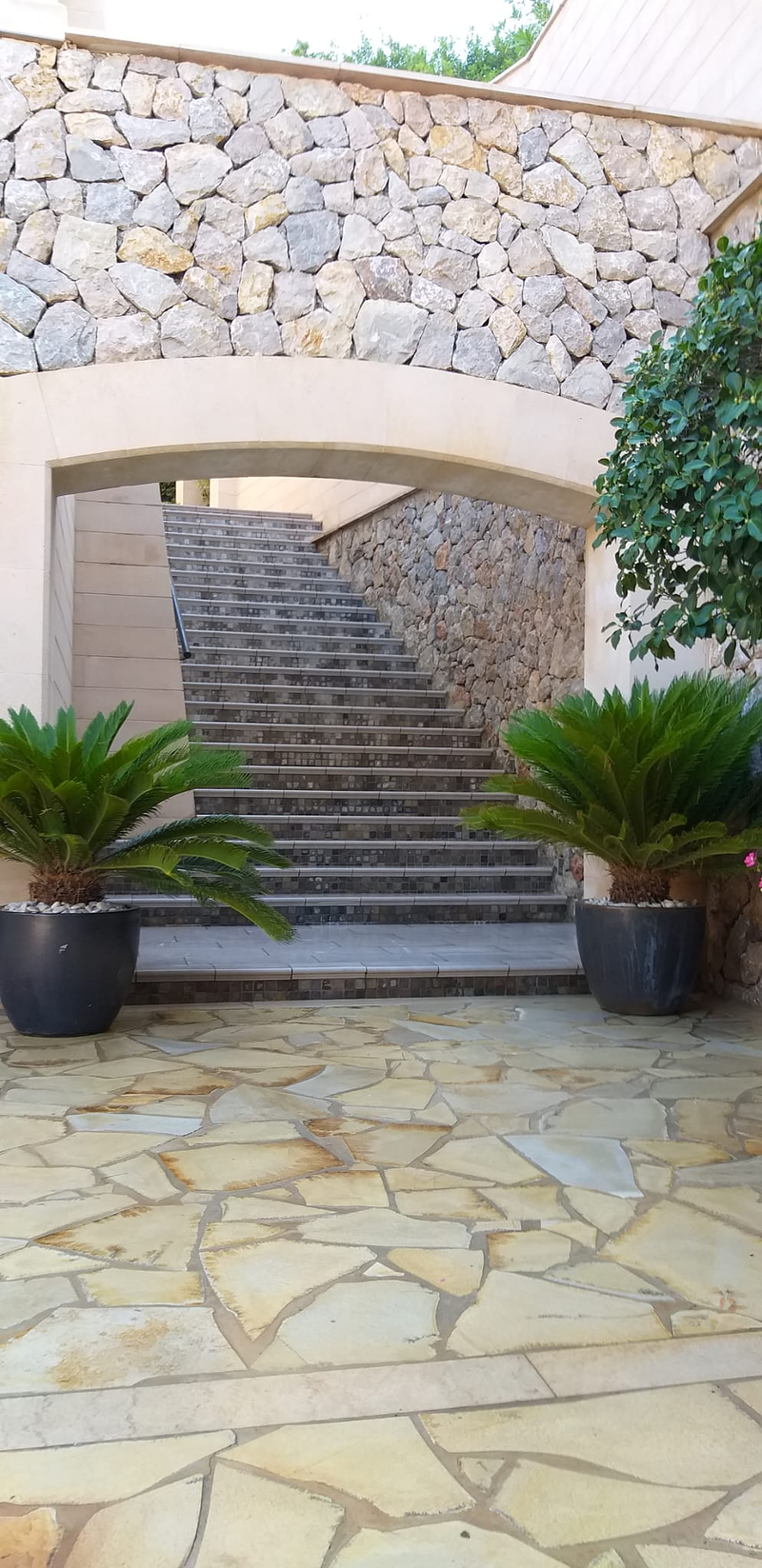 Jardines Balear JARDINERIA: EMPRESAS DE SERVICIOS